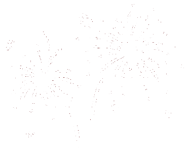 Fuegos artificiales
